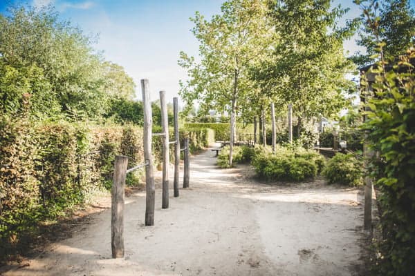 BSO Partou Fluitenkruid 10 foto 4