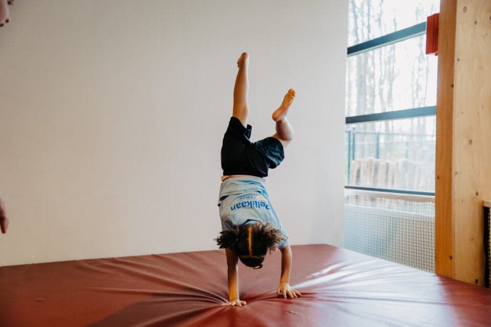 Sportwereld Pellikaan foto 5