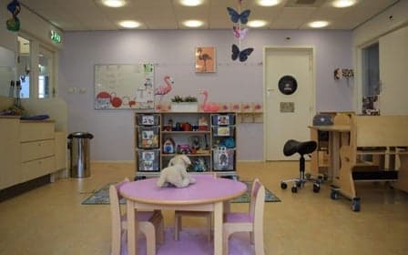 Dak Koningin Emma foto 9