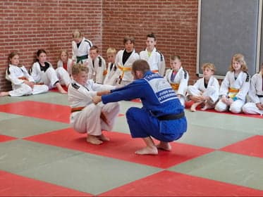 BSO De Wiekslag foto 8