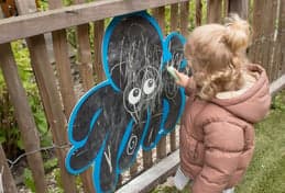 Jansens Vlinder foto 5