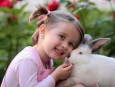 SKSG Boegbeeld foto 4