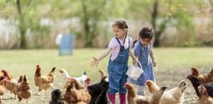 SKSG Boegbeeld foto 5