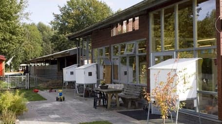 SKSG Boegbeeld foto 9