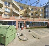 Sport- BSO Flekss- Dillehof