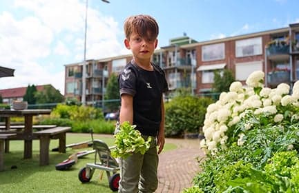 BSO Het Speelhuis foto 4