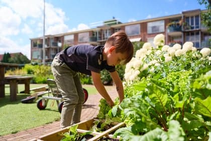 BSO Het Speelhuis foto 9