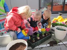 KDV Groningen Reitdiephaven foto 8