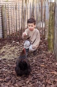 De Vlinderboom bewuste kinderopvang 3