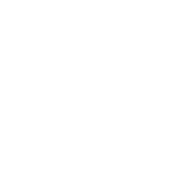 De Vlinderboom bewuste kinderopvang foto 9