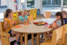 Knikkebol dependance Regenboog foto 4