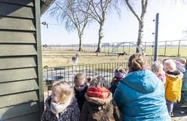 Peuteropvang De Bengeltjes 3