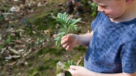 Bso Buiten De Groene Inval 2