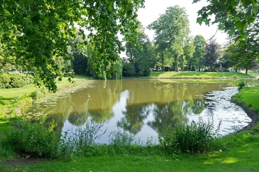 Wilhelminapark foto 7