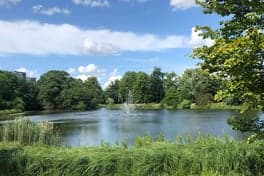 Wilhelminapark foto 8