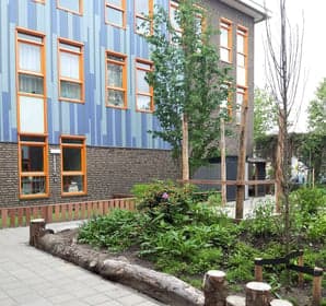 De Vuurvlinder foto 7