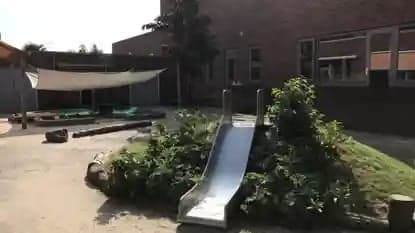 De Vuurvlinder foto 10