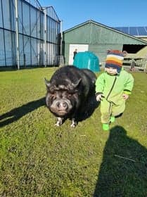 De Koggepurkies B.V. foto 6