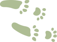 De Koggepurkies B.V. foto 10