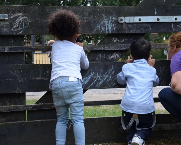 Stichting Abbo Kindcentra Kinderopvang - KDV Kindcentrum Rode Schouw foto 6