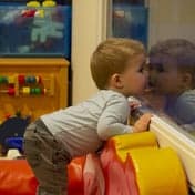 De Bieënkorf foto 7