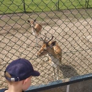 Kinderdagverblijf 'Koetje Boe' foto 8