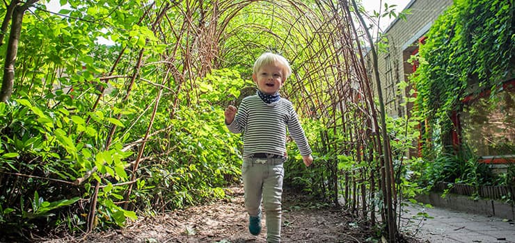 IJsterk De Regenboog