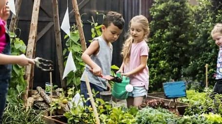 BSO Kindcentrum De Spelevaert foto 5