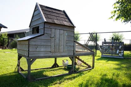 BSO 't Koetje foto 10