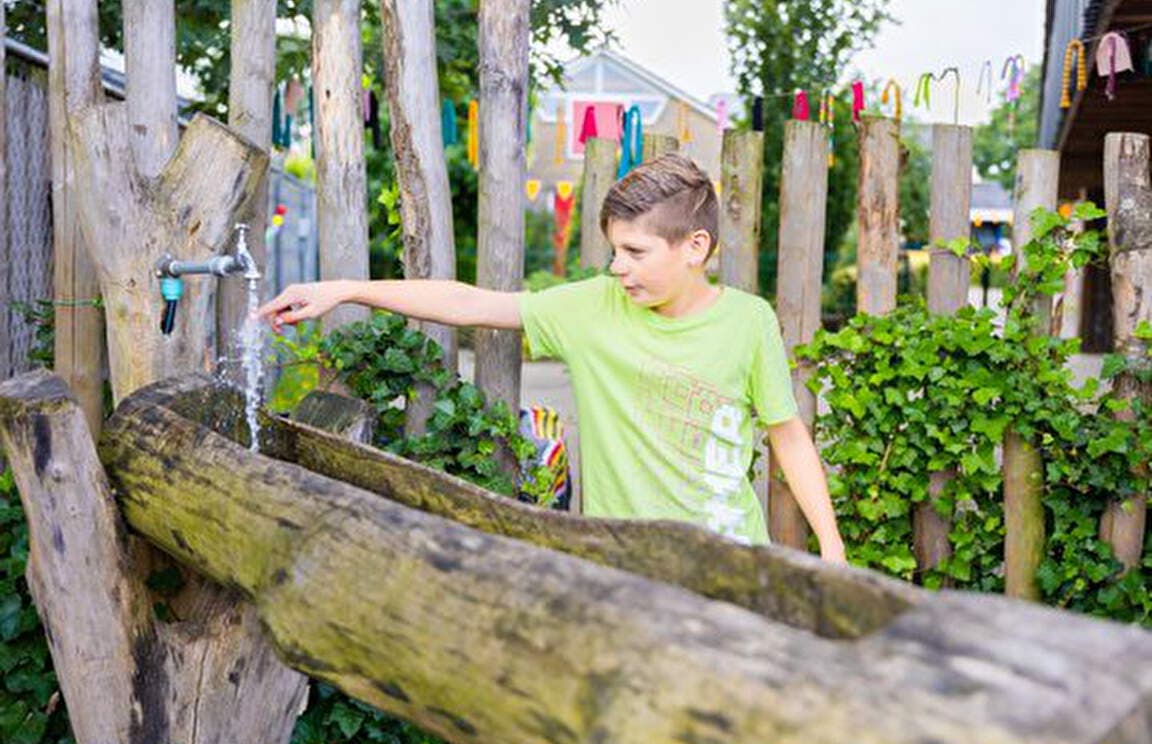 Het Kwetternest foto 8