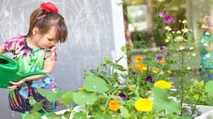 KDV Burgemeester foto 6