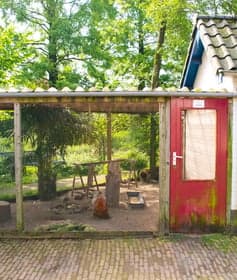 Kinderdagverblijf Kwetternest foto 5