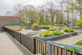 BSO Okidoki Spinel 2 foto 5