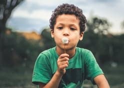 Prokino Nieuwegein BSO 2