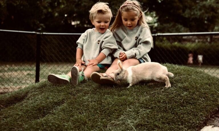 The Kids Company Veldhoven B.V. foto 5