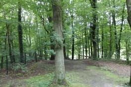 Partou BSO Diependalseweg 7 foto 9