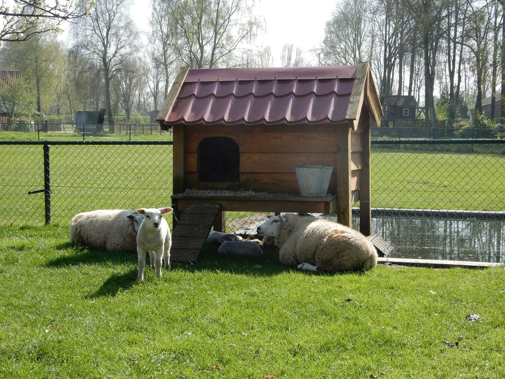 De Peuterboerderij 3