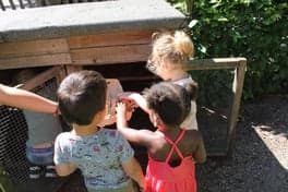 KDV Bzzzonder Nieuwland foto 4