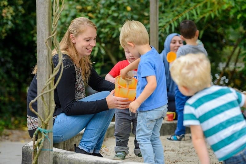 BSO De Flierefluiter