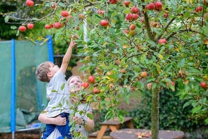 BSO De Flierefluiter foto 5