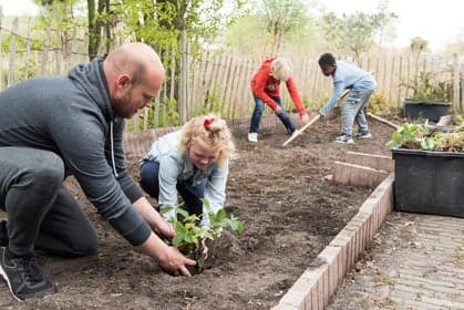 Hero BSO Boezemkade foto 5