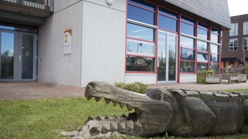 Ska Kindcentrum de Dwergster