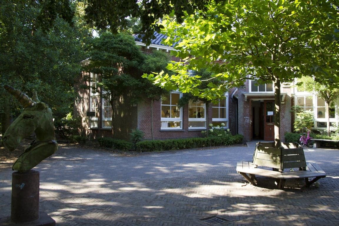 Les Petits Bos en Duinschool (de Tovenaartjes)