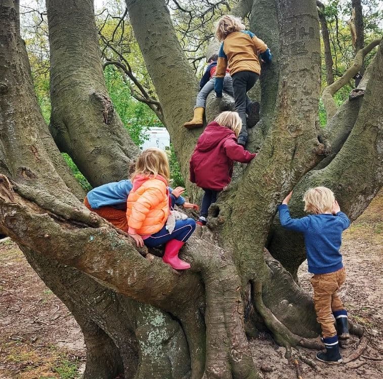 Kindercentrum Fluitenkruid B.V. foto 4