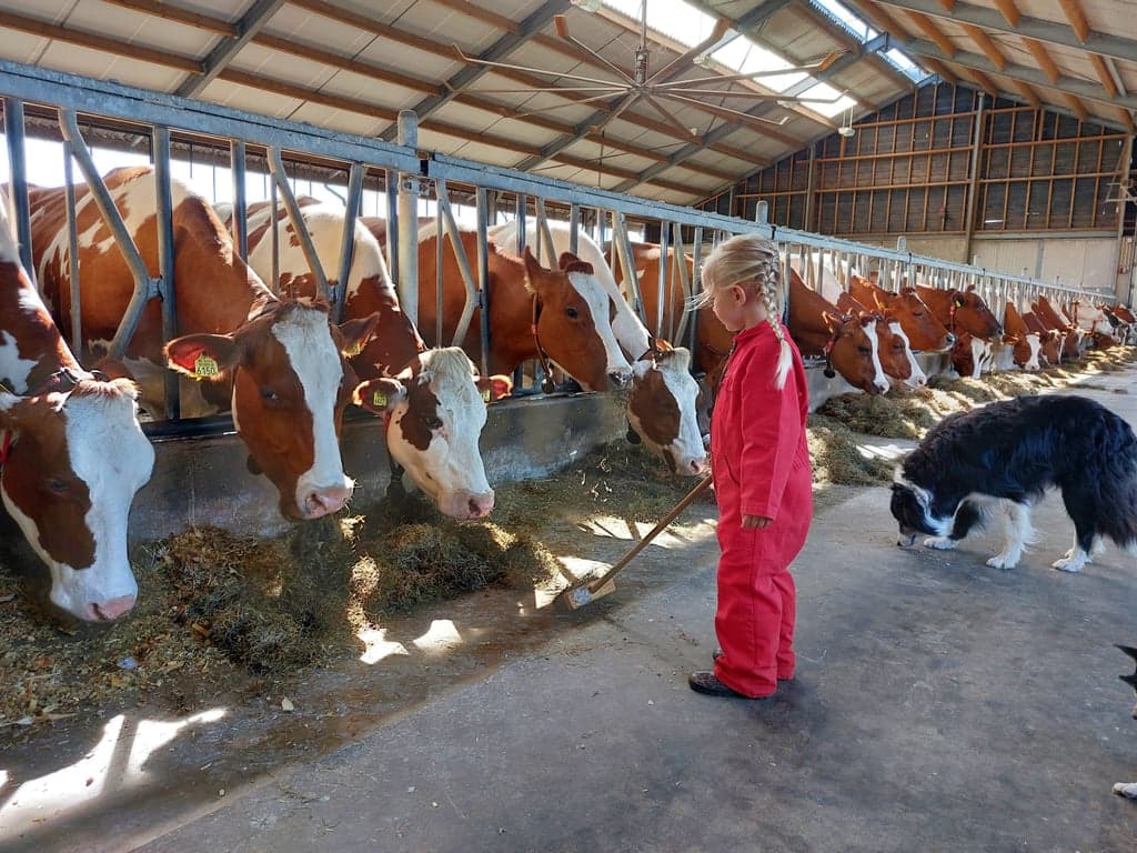 Betsie Boe BSO foto 5