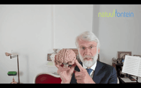 Natuurfontein Westerpark B.V. foto 10