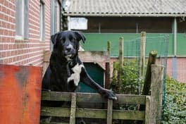 Hoeve Ackerdijk foto 6