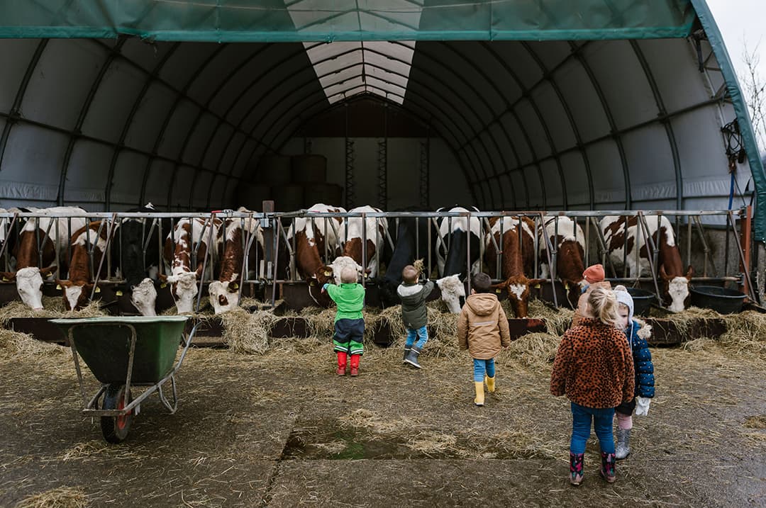 Hoeve Ackerdijk foto 8