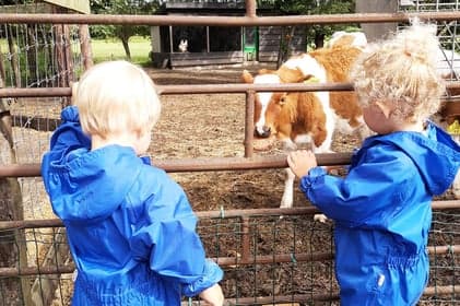 Hoeve Ackerdijk foto 10