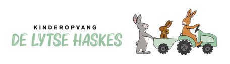 Kinderopvang De lytse haskes